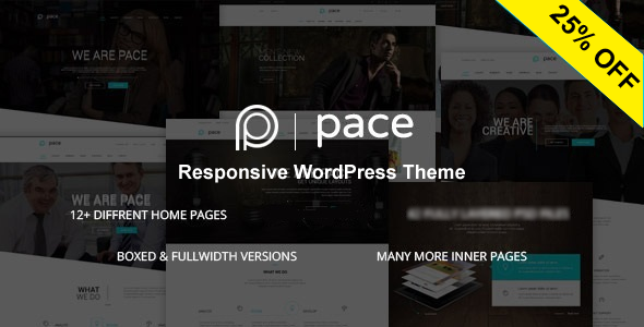 Pace - Responsive MultiPurpose Theme - Business Corporate