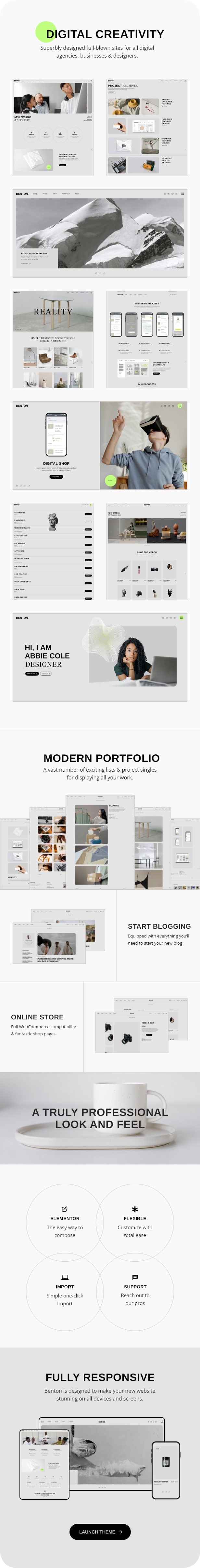 Benton - Digital Agency WordPress Theme - 2
