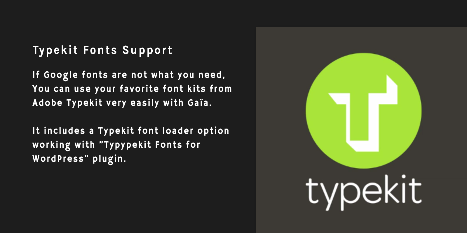 Typekit Fonts