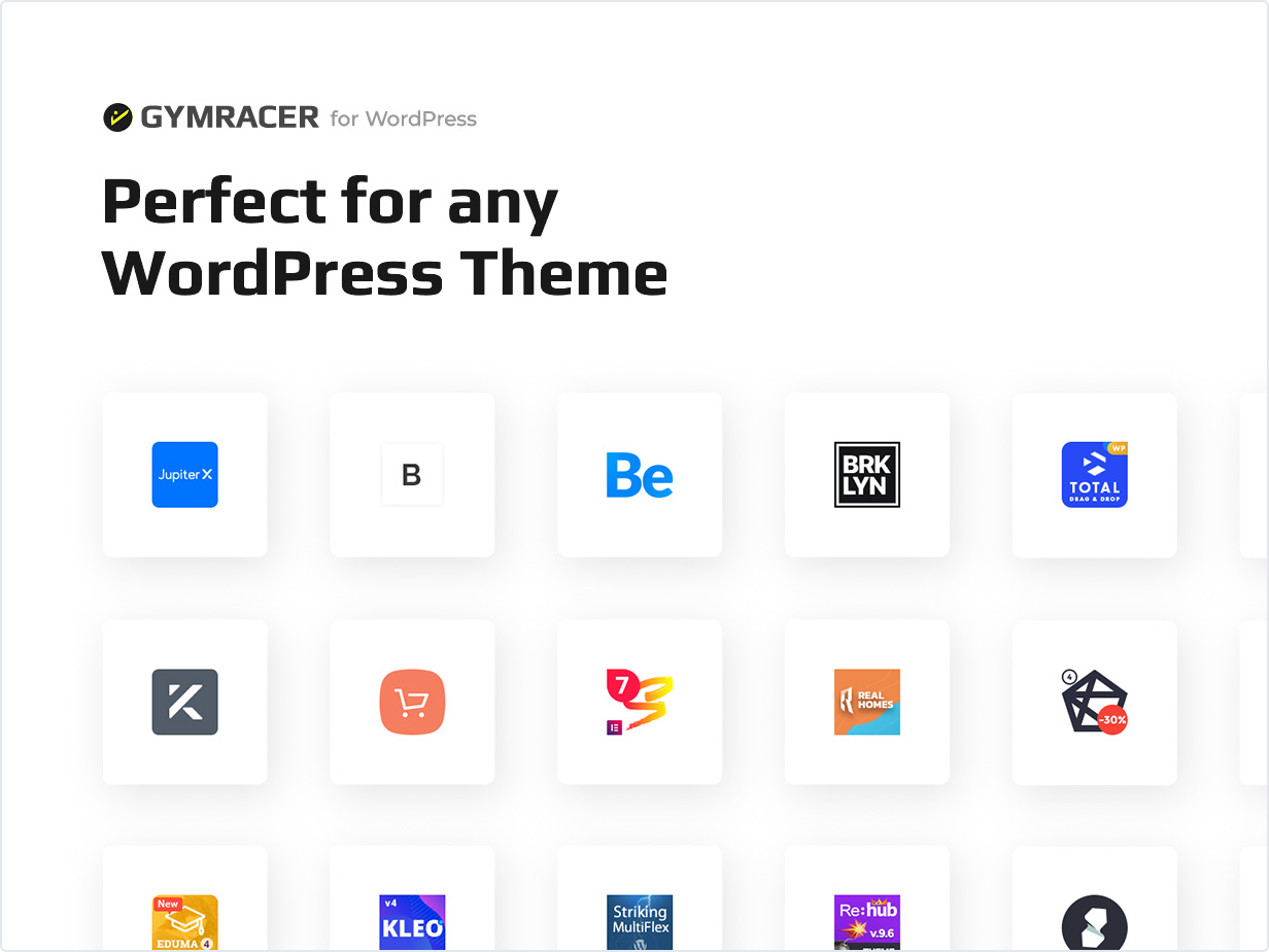Perfect for any WordPress Theme