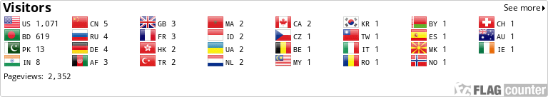 Flag Counter