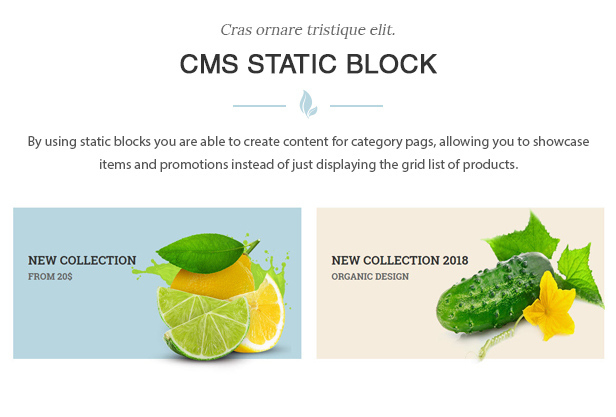 des_11_cms_staticblock_slider