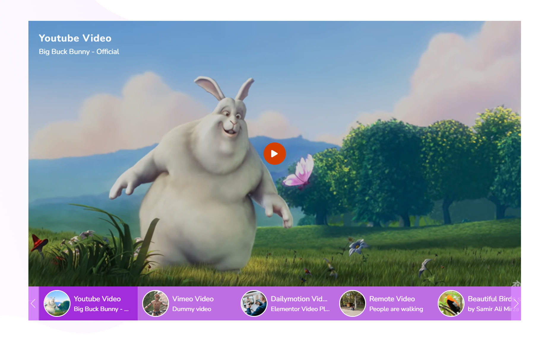 Sky Addons Video Gallery Widget Screenshots-2