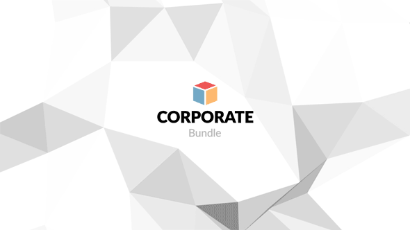 Corporate Bundle & Infographics - 13