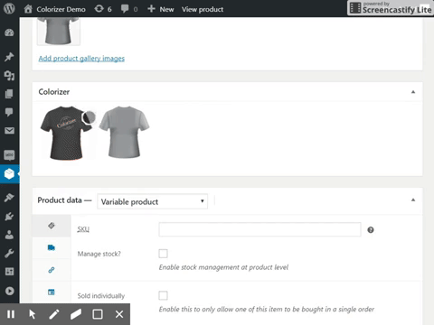 colorizer in action - back-end