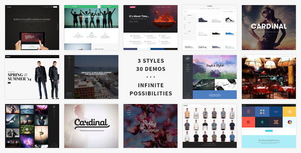 Cardinal WordPress Theme