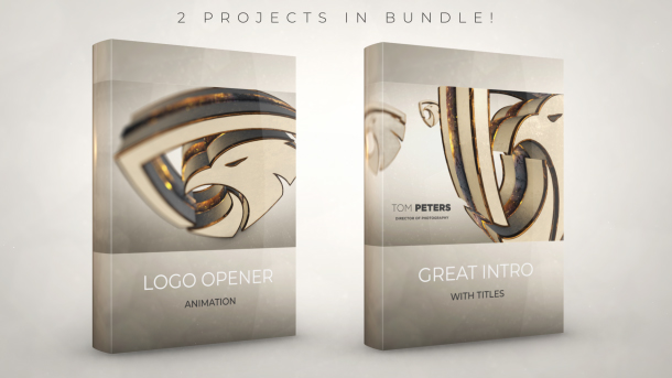 Videohive Luxury Gold Logo Reveal » free after effects templates