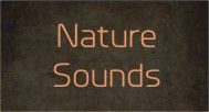 Nature Sounds Banner