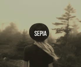 Napoli - Modern Photography  Responsive HTML Template - 10