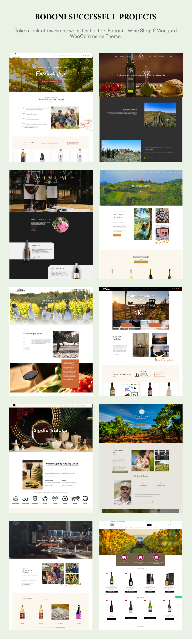 Bodoni - Wine Shop & Vineyard WooCommerce Theme Projects Showcase