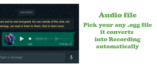 WaSender Bulk WhatsApp Sender + Group Sender + WhatsApp Auto Reply Bot (V3.1.0) - 64