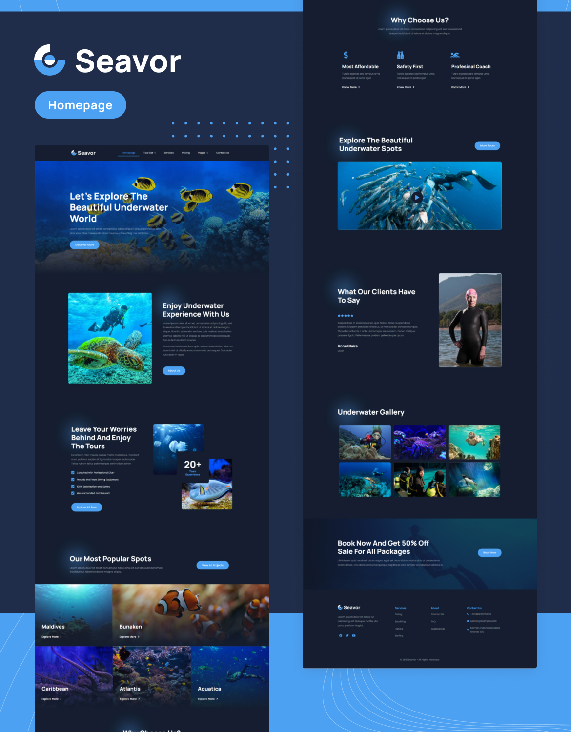 Seavor | Sea Adventure & Travel Elementor Template Kit - 1