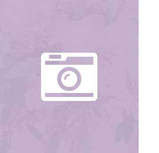Wedding - WordPress Theme - 17