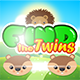 construct 2 find the twinds logic game template