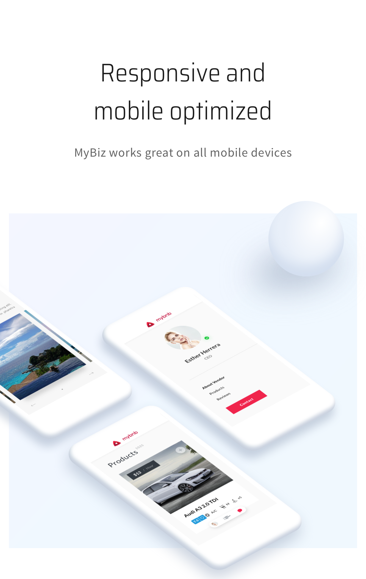 MyBiz - The First Multi-Business & Booking HTML Theme - 5