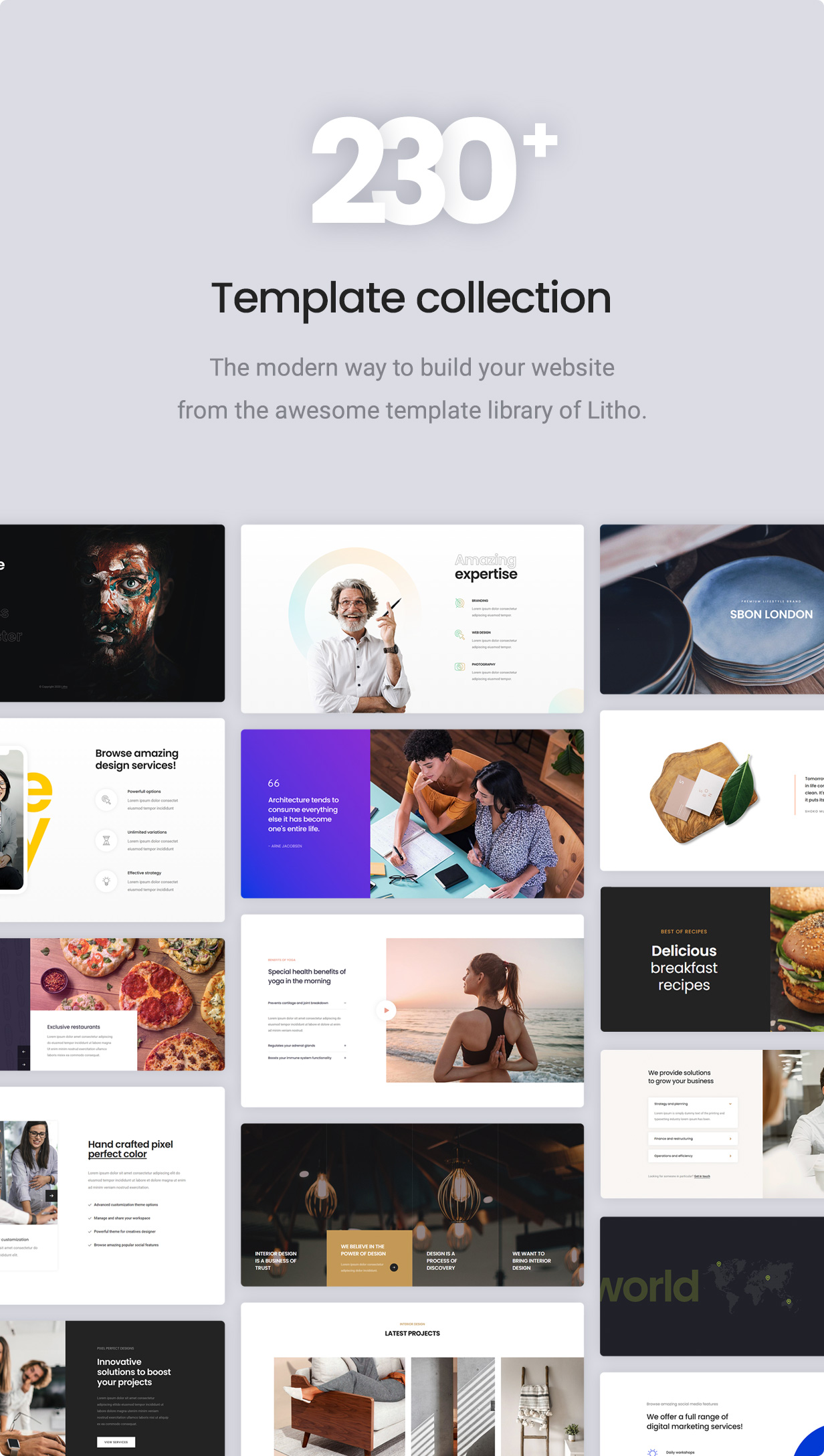 Litho - The Multipurpose HTML5 Template