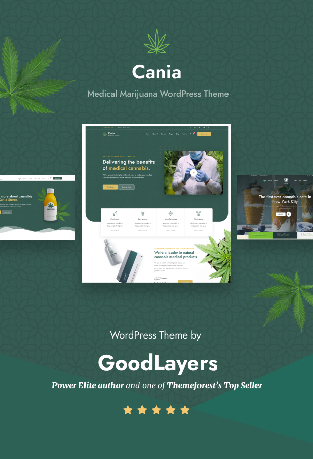 Cania – Cannabis and Medical Marijuana WordPress –
