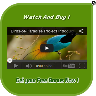 Custom Popup at Product Page for WP e-Commerce - 9