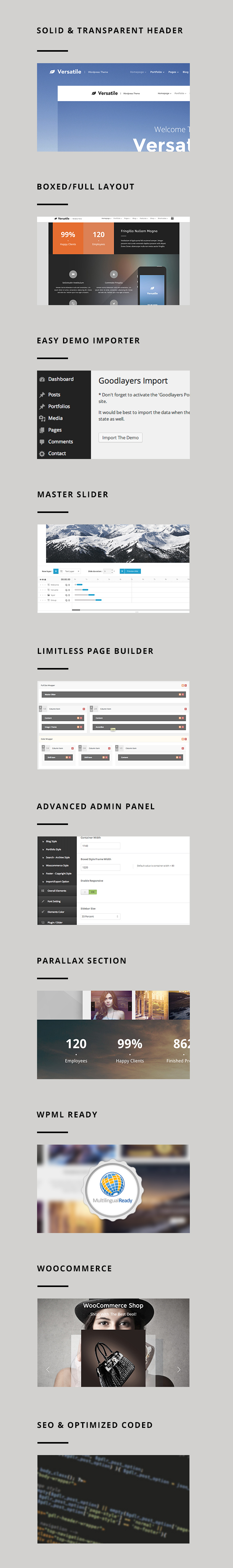 Versatile - Responsive Multi-Purpose WP Theme - 2