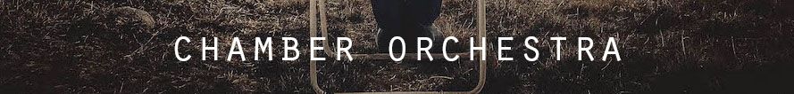  photo 7-CHAMBER ORCHESTRA_zpsq0w2jkla.jpg