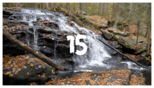 Brush Transitions - 15