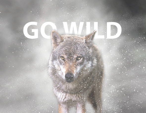 Gif Animated Snow Photoshop Action - 9