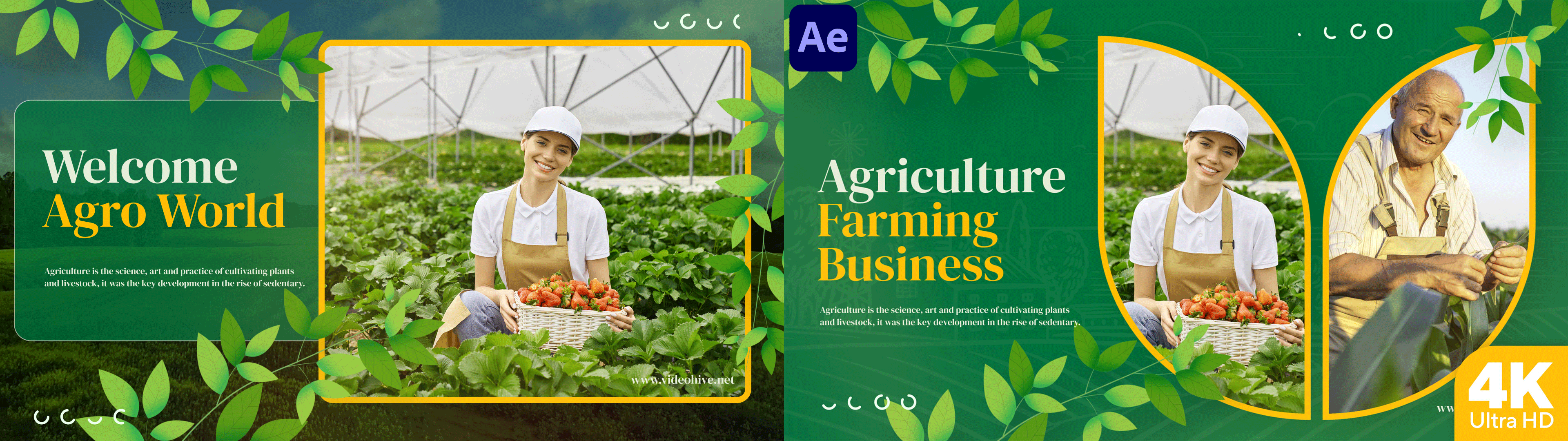 Agriculture