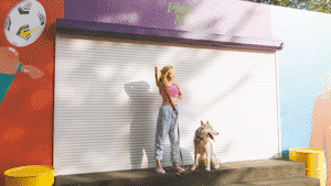 Paper Transitions | Big Pack - 50