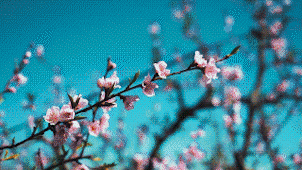 Basic Grid Transitions - 13