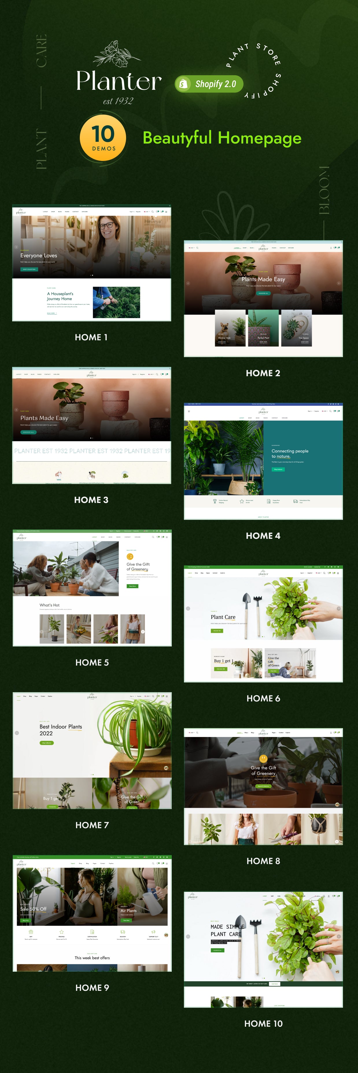 Shopify Theme