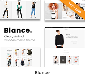 Clean, Minimal WooCommerce WordPress Theme