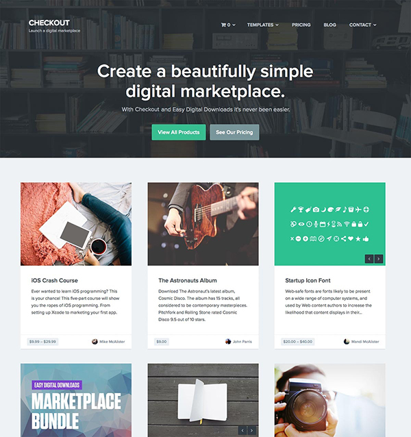 best wordpress theme