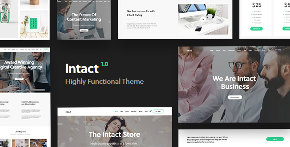 Intact - Premium Multi-Purpose WordPress Theme - Creative WordPress