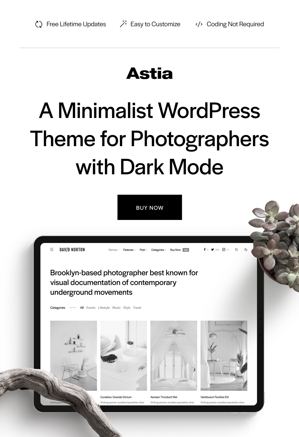 Astia - Minimal Portfolio WordPress Theme for Photographers - 1