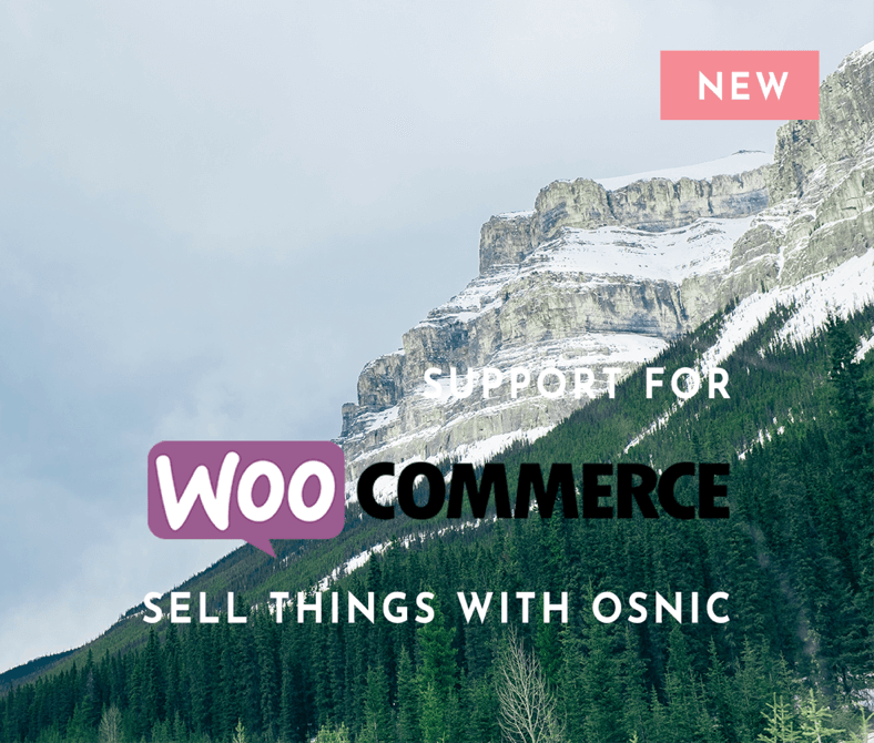 Woocommerce Themes
