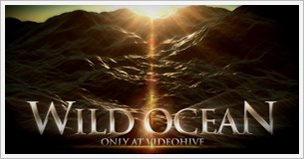 Wild Ocean