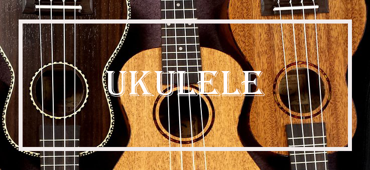 Ukulele