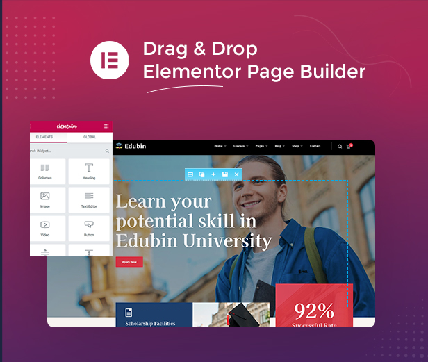 Elementor Page Builder Compatible Theme