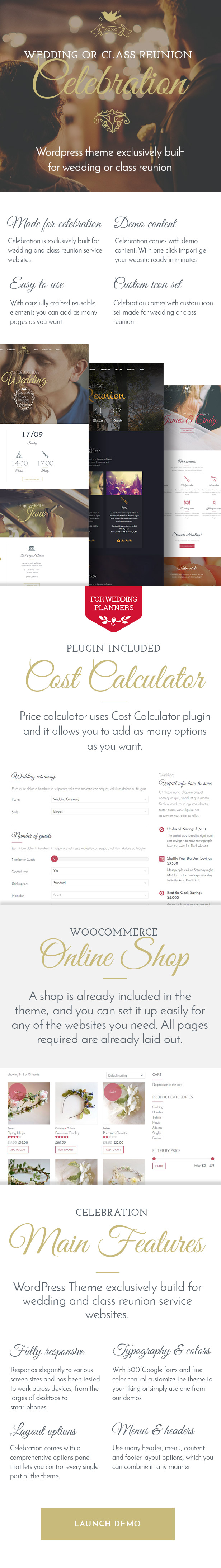 Celebration - Wedding & Class Reunion WordPress Theme - 1