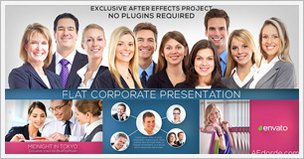 Flat Corporate Presentation