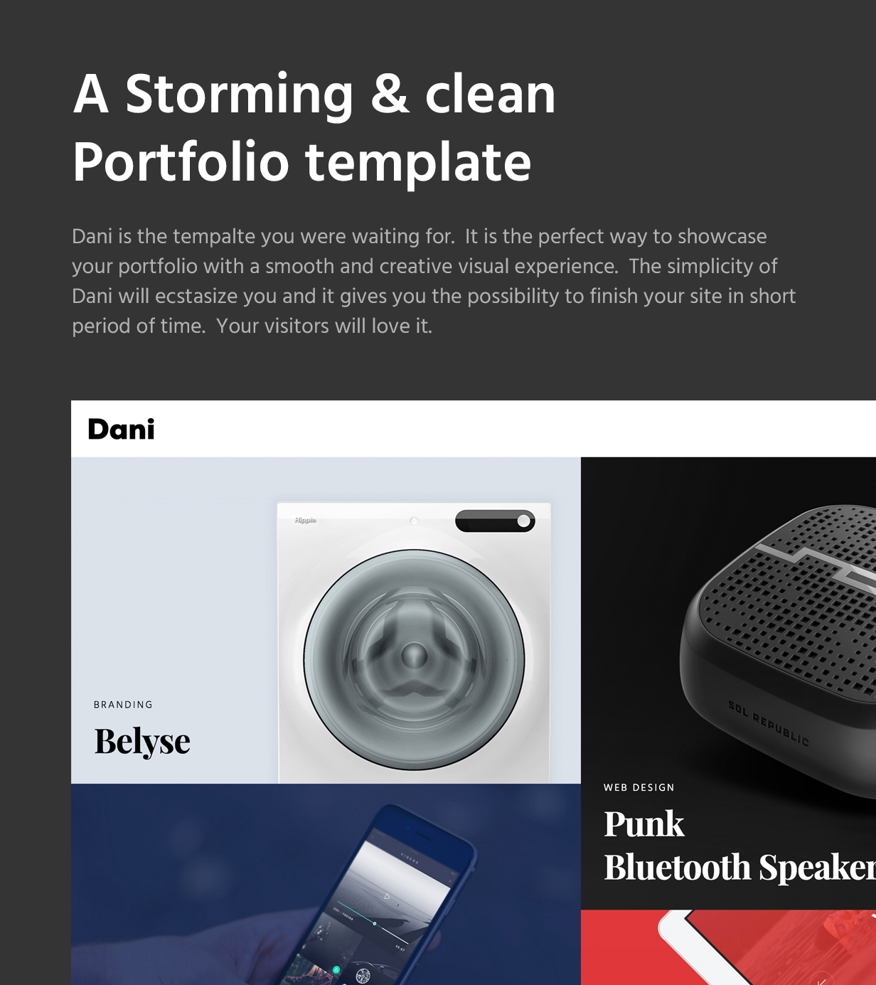 Dani - A Storming Portfolio & Blog template - 5
