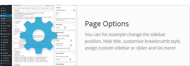 Page Options