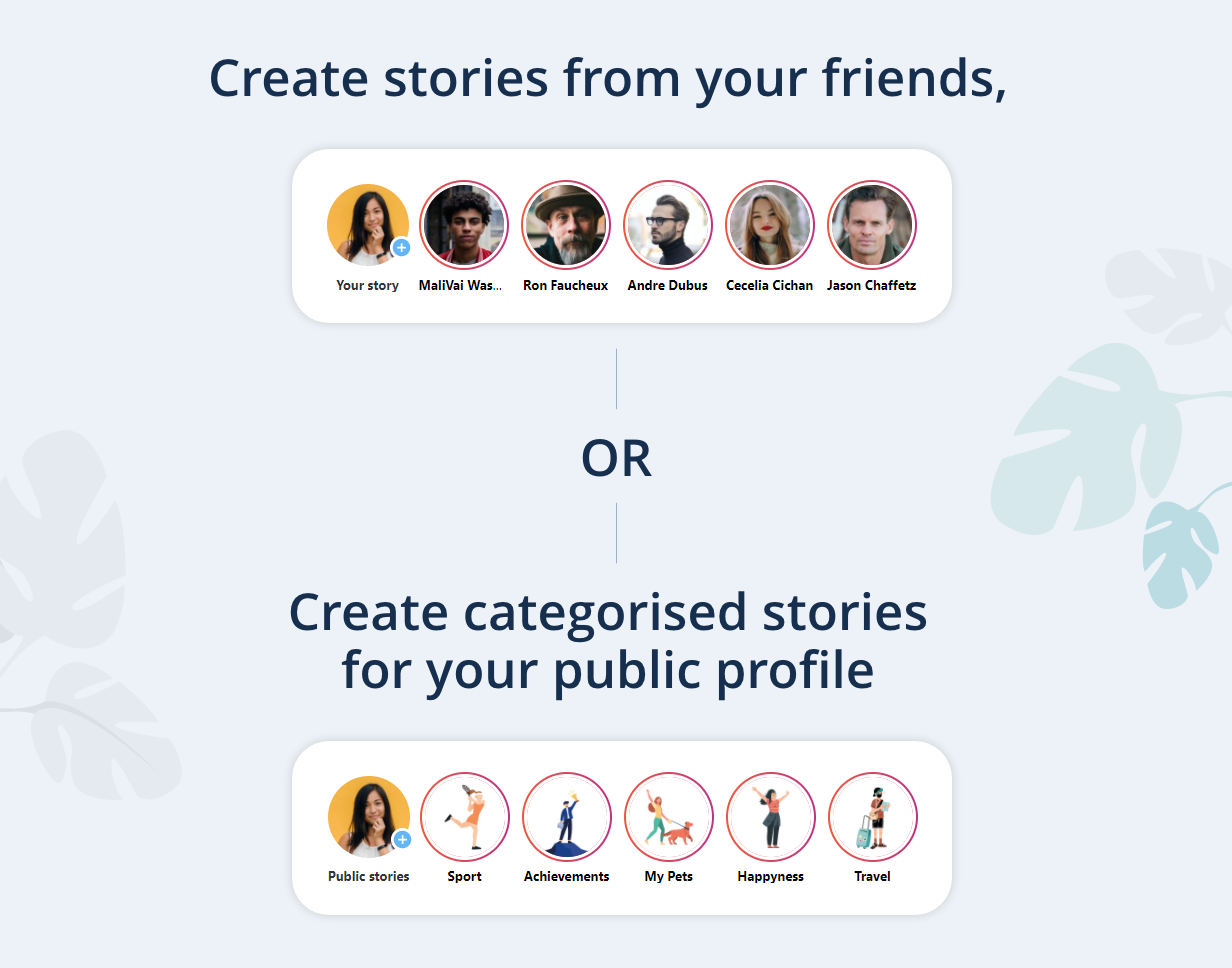 WP Story | Create Instagram Style Stories On WordPress | Types