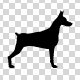 light-r-won - Dog Walk