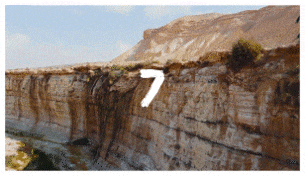 Brush Transitions - 7