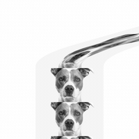 Kinetic Photos Pack - 61