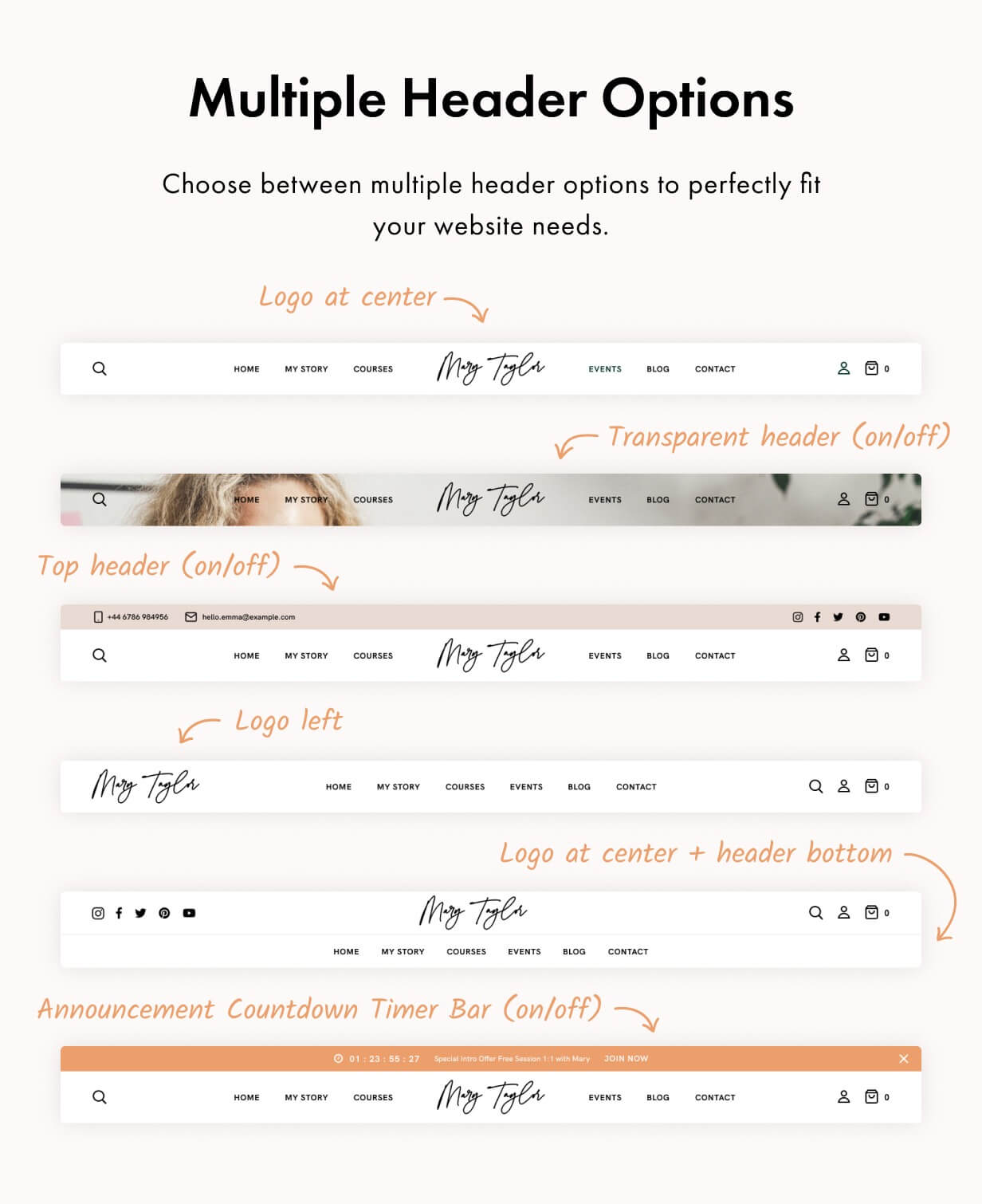 Magnetique — Coaching Online Courses WordPress