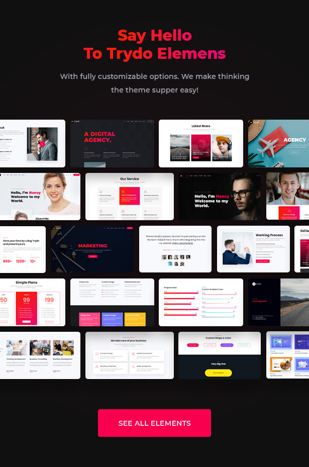 Trydo - Agency & Portfolio Theme - 13