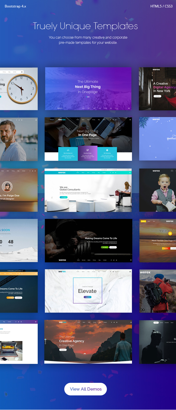 Werox - One Page Parallax Template - 1