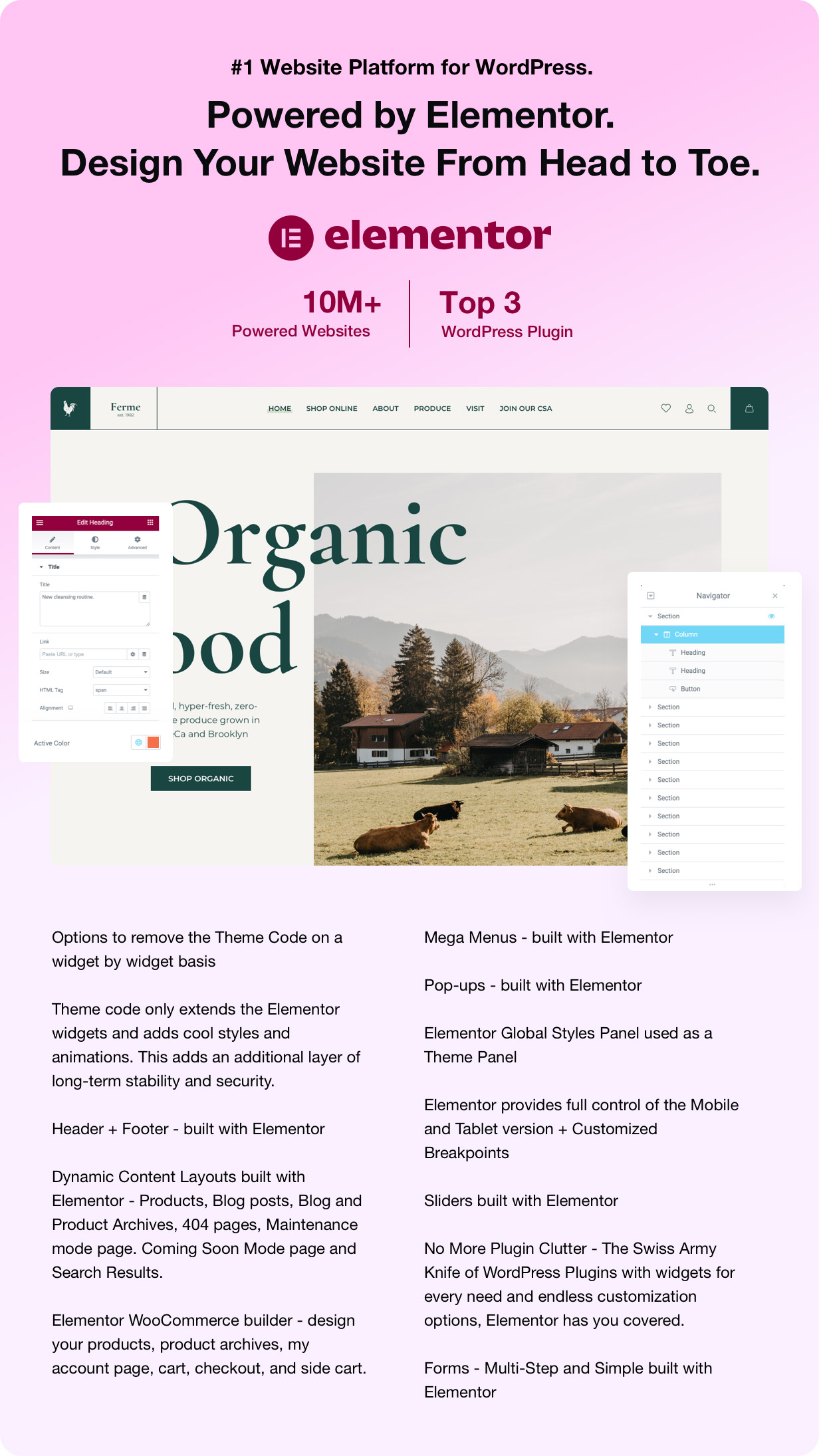 Ferme - Food Farm Ecommerce - 1